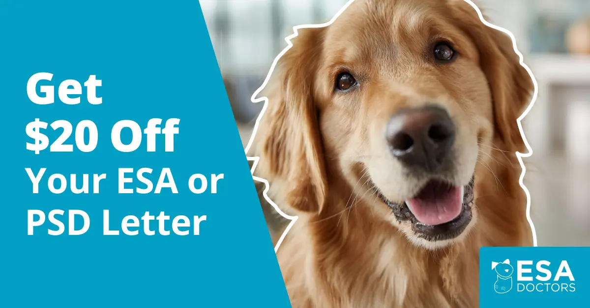 Get $20 Off Any Letter