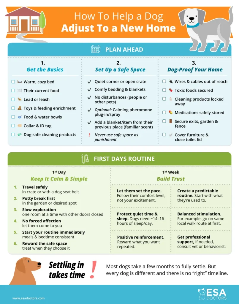 How to Help a Dog Adjust to a New Home