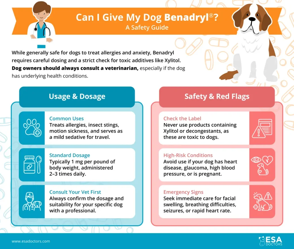Can I Give My Dog Benadryl?