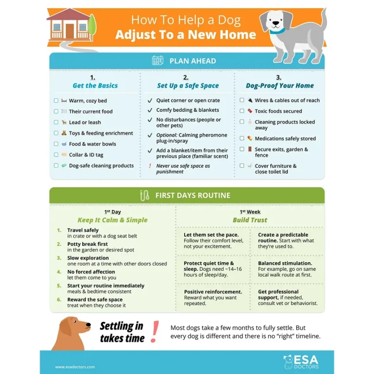 How to Help a Dog Adjust to a New Home