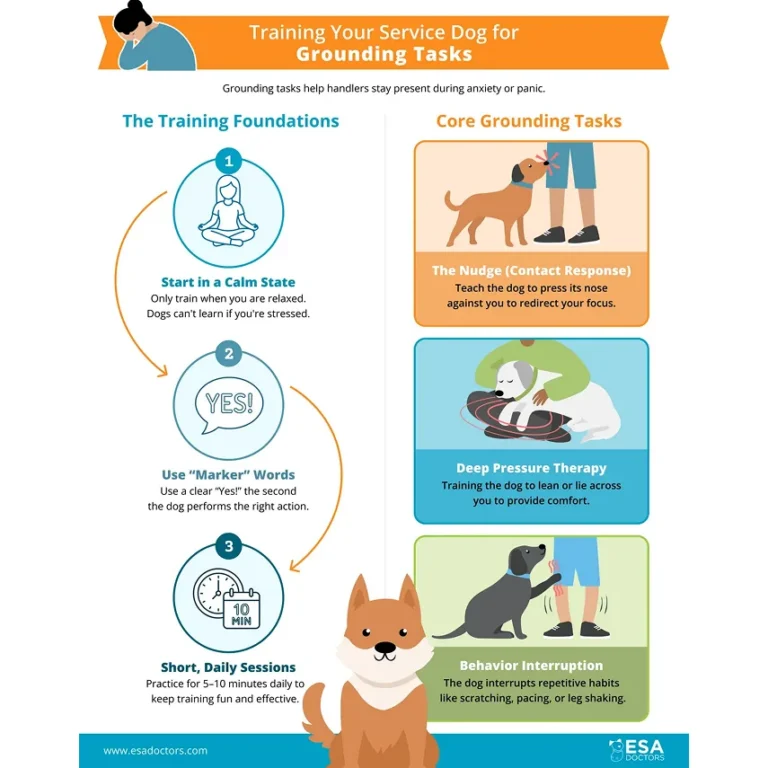 How to Train Your Dog for Grounding Tasks