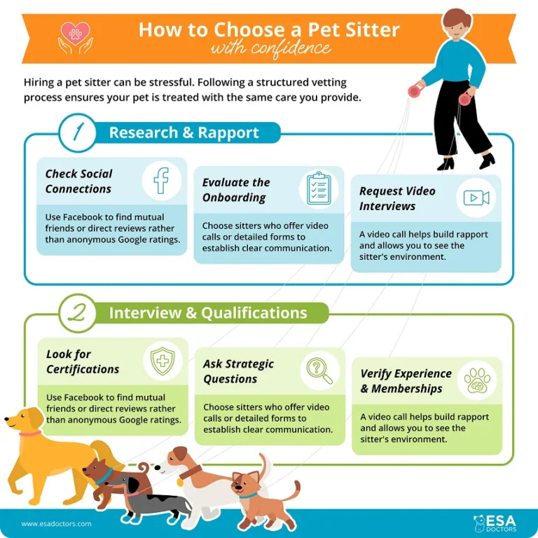 Ways to Feel Confident When Hiring a Pet Sitter