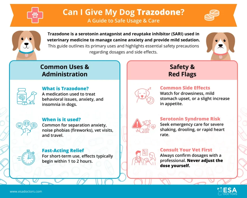 Can I Give My Dog Trazodone