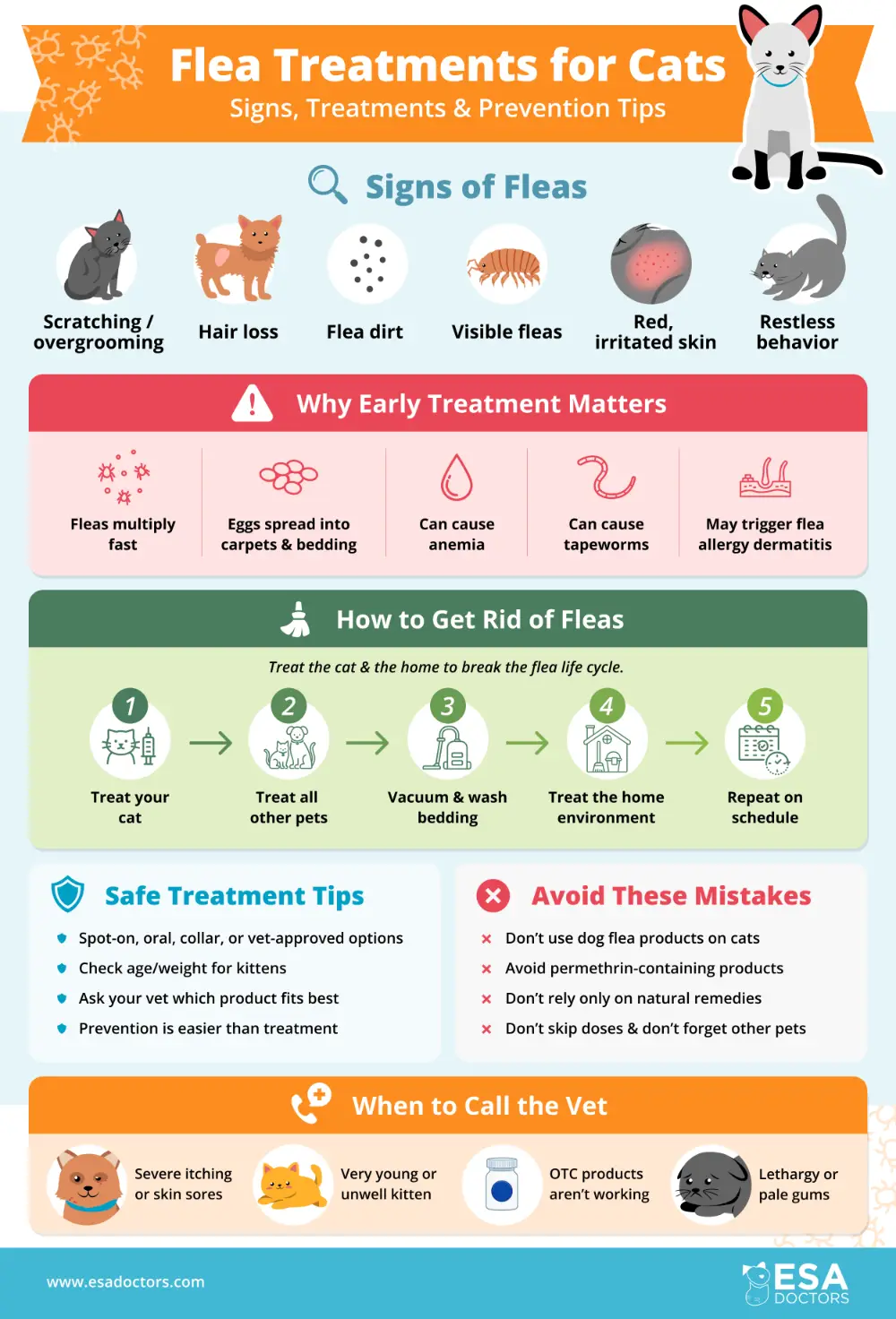 Flea Treatments for Cats Signs, Treatments & Prevention Tips