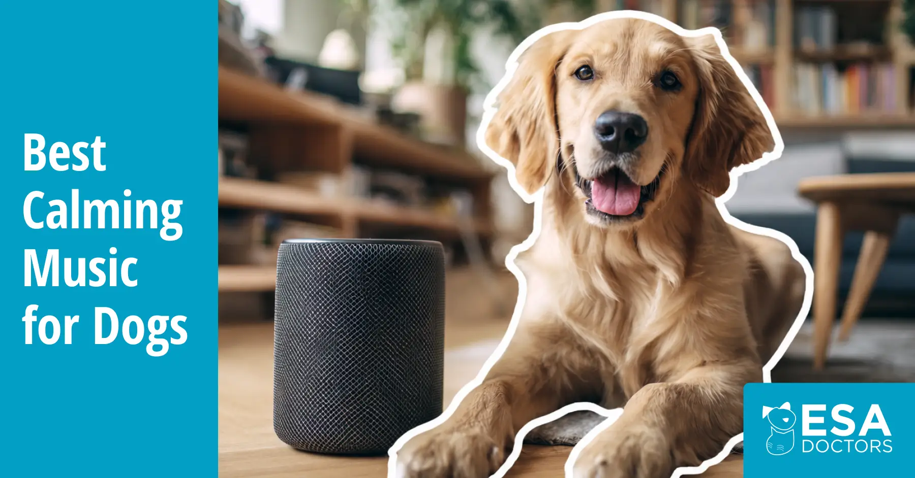 Types of Music that Calms Dogs 