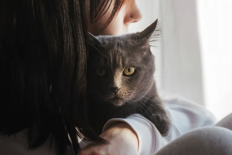 Can Cats Sense Sadness?