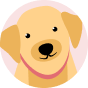 Psychiatric Service Dog