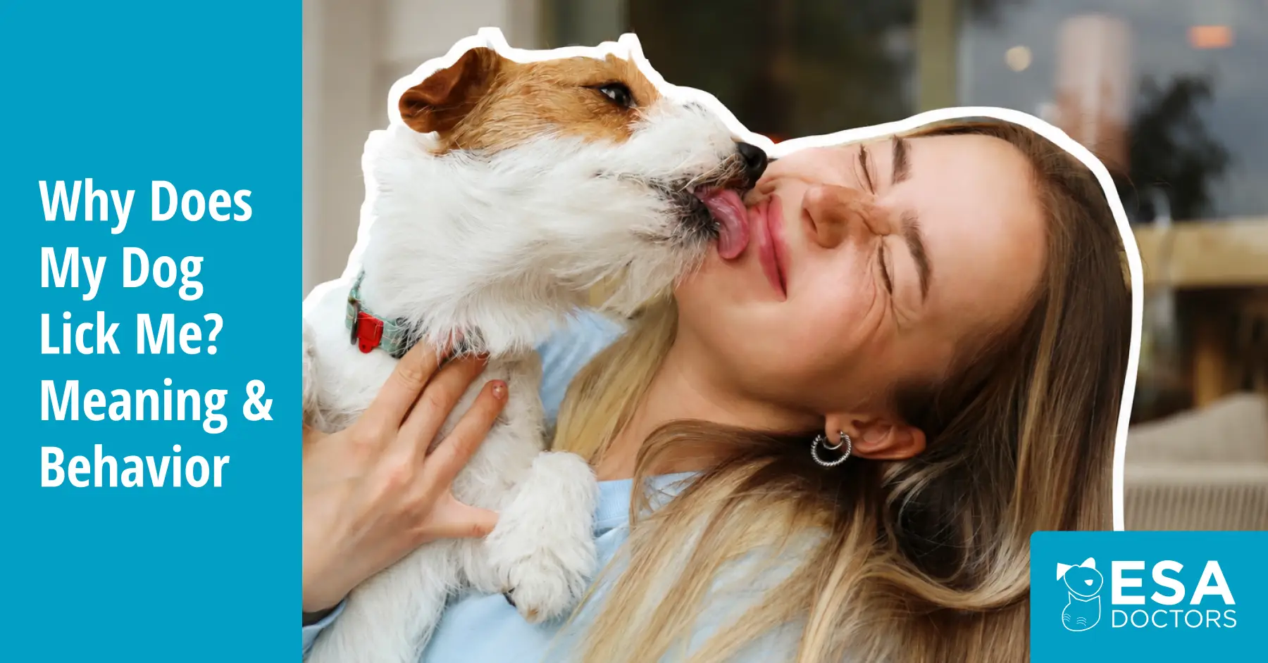 Why Do Dogs Lick You?