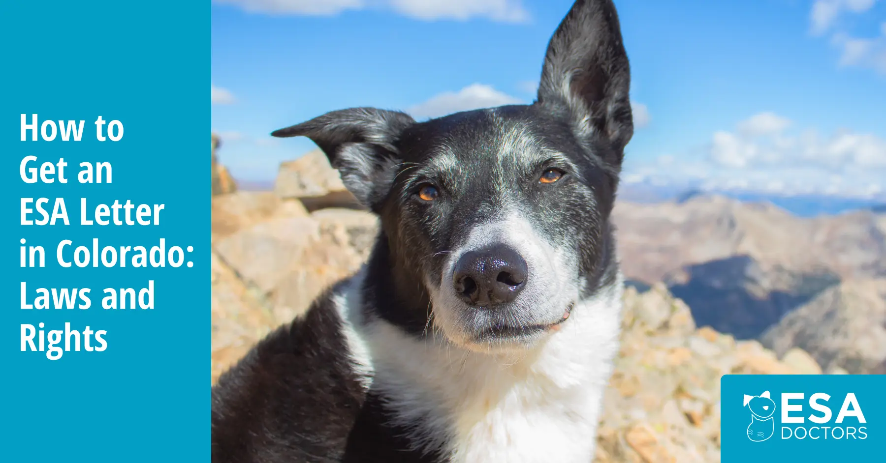 Colorado Emotional Support Animals: Laws, Housing Rights, and ESA Letters